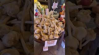 Castiglione del Lago is a medieval hilltop town