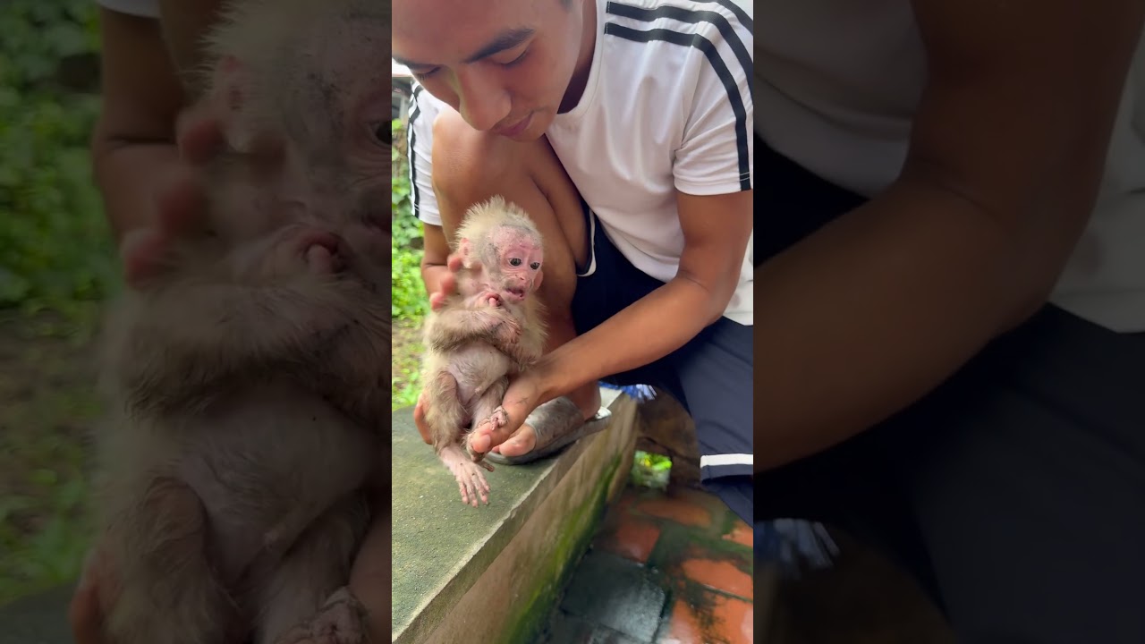 Биби ужасно грязная.