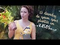 Vai PLANTAR em VASO? 13 respostas RÁPIDAS pras dúvidas MAIS comuns