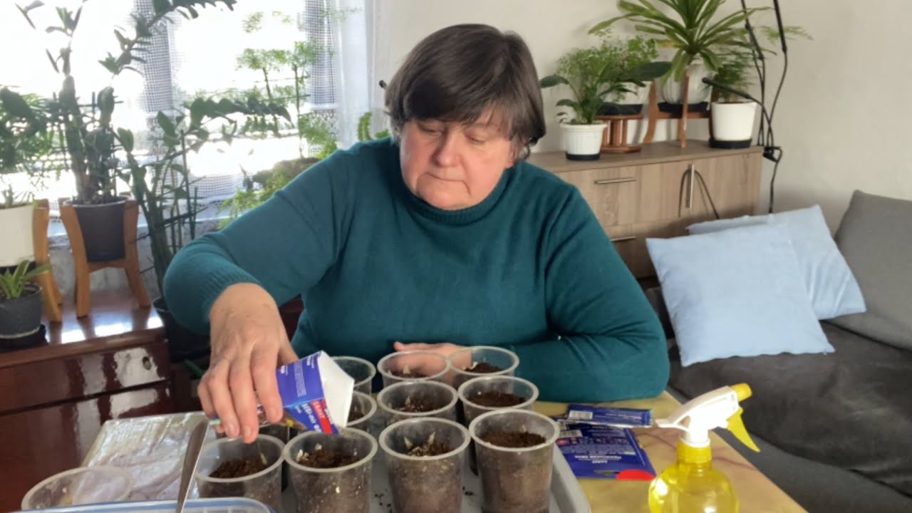 ПОЧИНАЮ ПОСІВНУ.!!🌱🌱🌱☘️☘️☘️🪴🪴🪴