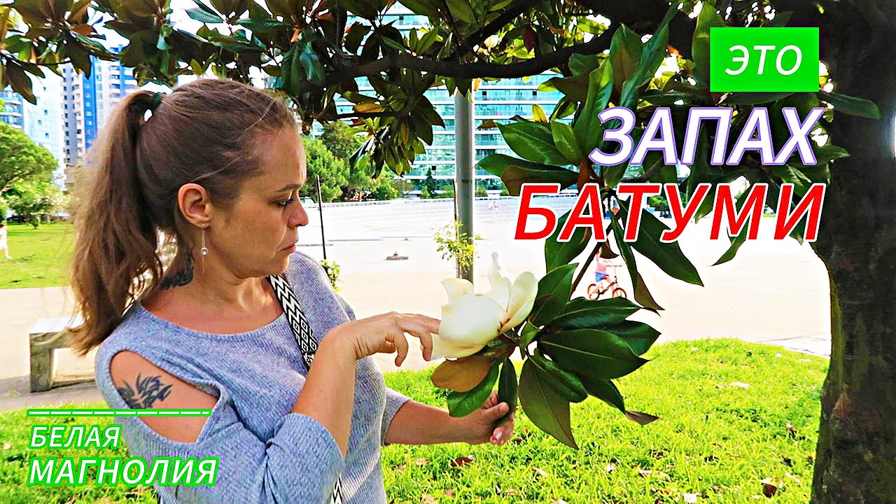 Мы выяснили, откуда этот запах в Батуми! И женщины тут ни при чём! Чем пахнет Грузия. Белая Магнолия