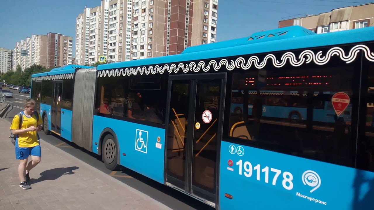 Газель с гармошкой