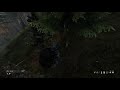 Dayz moments