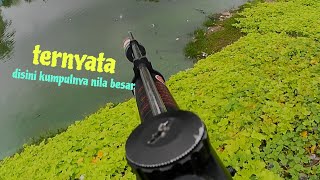 Ternyata Disini Ik Kumpul Nila Besar Berada Paser Mania