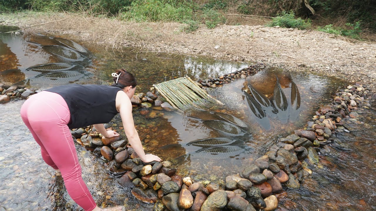 Caught a lot of fish when village girl built stone trap at the river ...