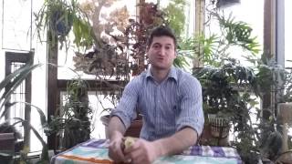 Celebrity Peaceful Fruits - Why We Started Wealth