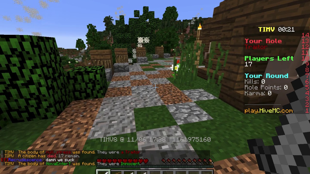 The Hive | TIMV | Pikta RDMing