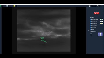 AI - CV - Drone Bird Classification