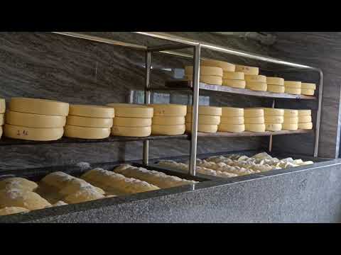 LUCKY DAIRY Tinkhutee Ilam  Exploring process of making cheese