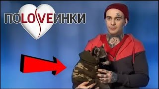 Живет с ЕНОТОМ ► Половинки