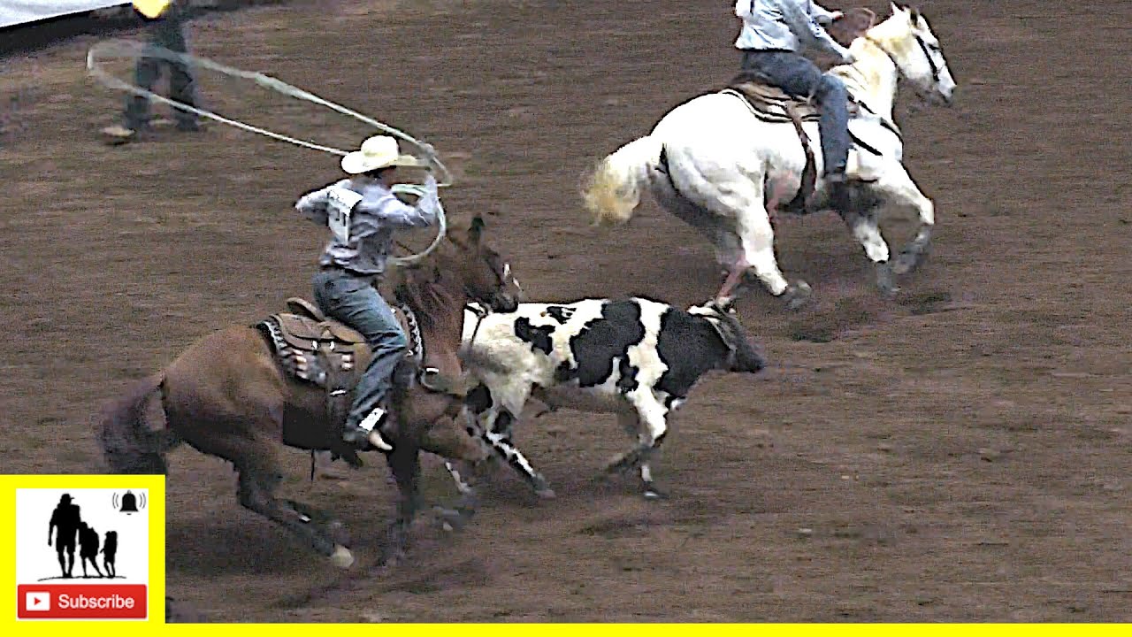 Team Roping ๐ค ๐ ๐ค 2022 San Angelo Rodeo | Saturday - YouTube Team Roping ๐ค ๐ ๐ค 2022 San Angelo Rodeo | Saturday - YouTube