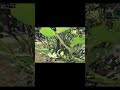 ശെടാ ന്ത്‌ ഇവടെ 2 വണ്ടി #bgmimalayalam #pubgmalayalam #gaming #pubgfunny #pubgm #bgmi #bgmifunny