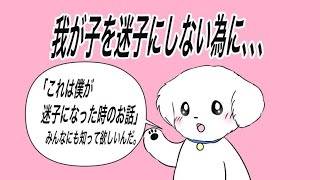 【迷子犬】【迷い犬】迷子札は２４時間つけてあげてね