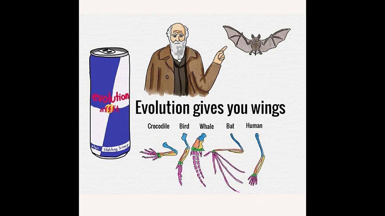 Science homework - YouTube