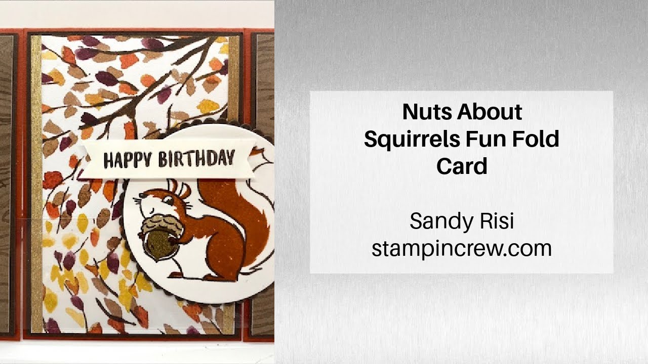Nuts About Squirrels Fun Fold Card - YouTube