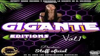 Techno Mix - Gigante Editions Vol.1 - Infinity Sound Records ft Discomóvil La Gigante
