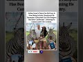 From Safari to Investigation: The Shocking Update on Joe McCann &amp; Ashlee Jenae. #viral #shorts