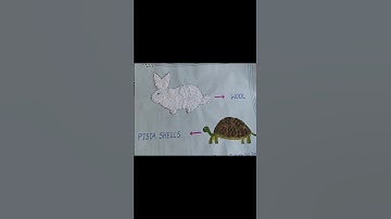 Project work for class 1, #music #shorts #short #trending #reels #ytshorts #shortvideo