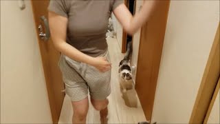 夜の人妻にムラがっちゃうオスたち