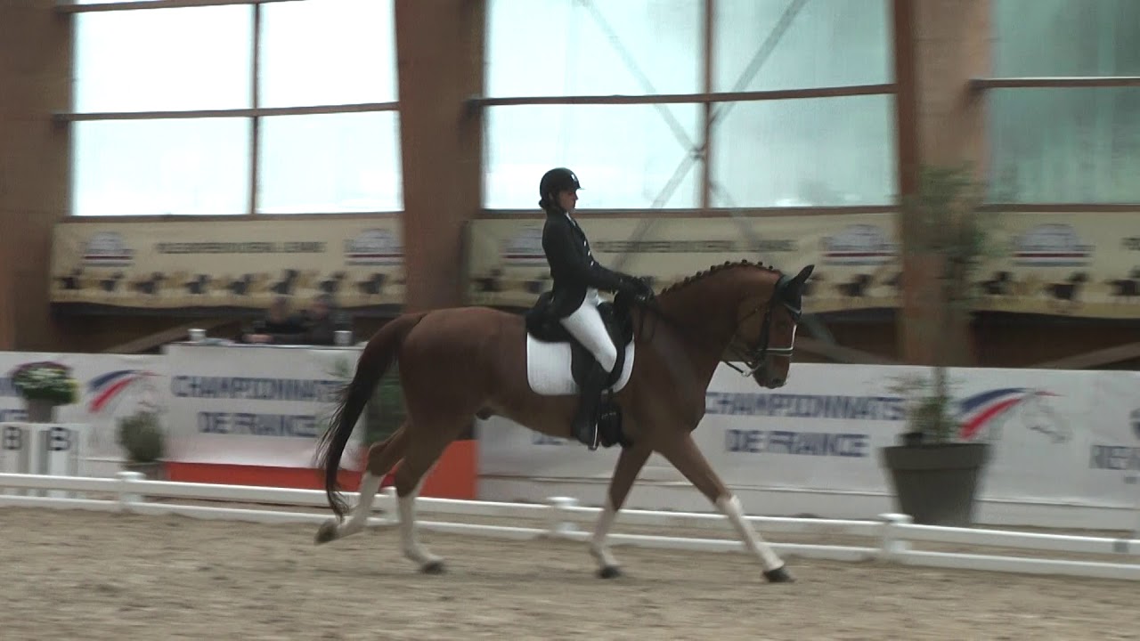 Marion / Championnat de France Dressage : RLM Amateur 2 LE MANS 2019