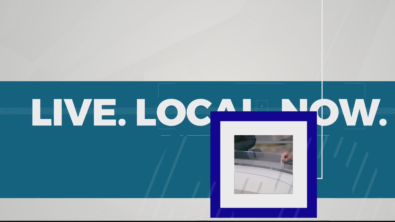 Several attempt to vote twice in midterm election as Nevada systems catch suspected voter fraud