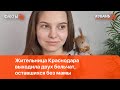 Жительница Краснодара выходила двух бельчат, оставшихся без мамы