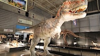 恐竜復元骨格標本など約１００点を展示＝ヨコハマ恐竜展２０１２