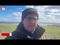 Wal-Drama in der Ostsee: Timmy atmet noch! „Könnte sein, dass er tagelang durchhält!“