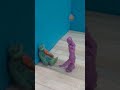 убиться фиолетовый 2