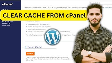 how to clear cache in cpanel 2024 - Imran