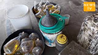 Dampak Pandemi Bagi Pelaku Usaha | Soft News screenshot 1