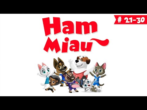 Desene animate pentru copii - Ham Miau - ep. 21-30