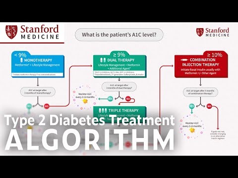 Video: Herausforderungen Im Diabetes-Management In Indonesien: Eine Literaturübersicht