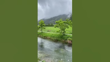 وَأَنَا ٱخْتَرْتُكَ فَٱسْتَمِعْ لِمَا يُوحَىٰٓ سوره طه بصوت جميل حالات واتس اب