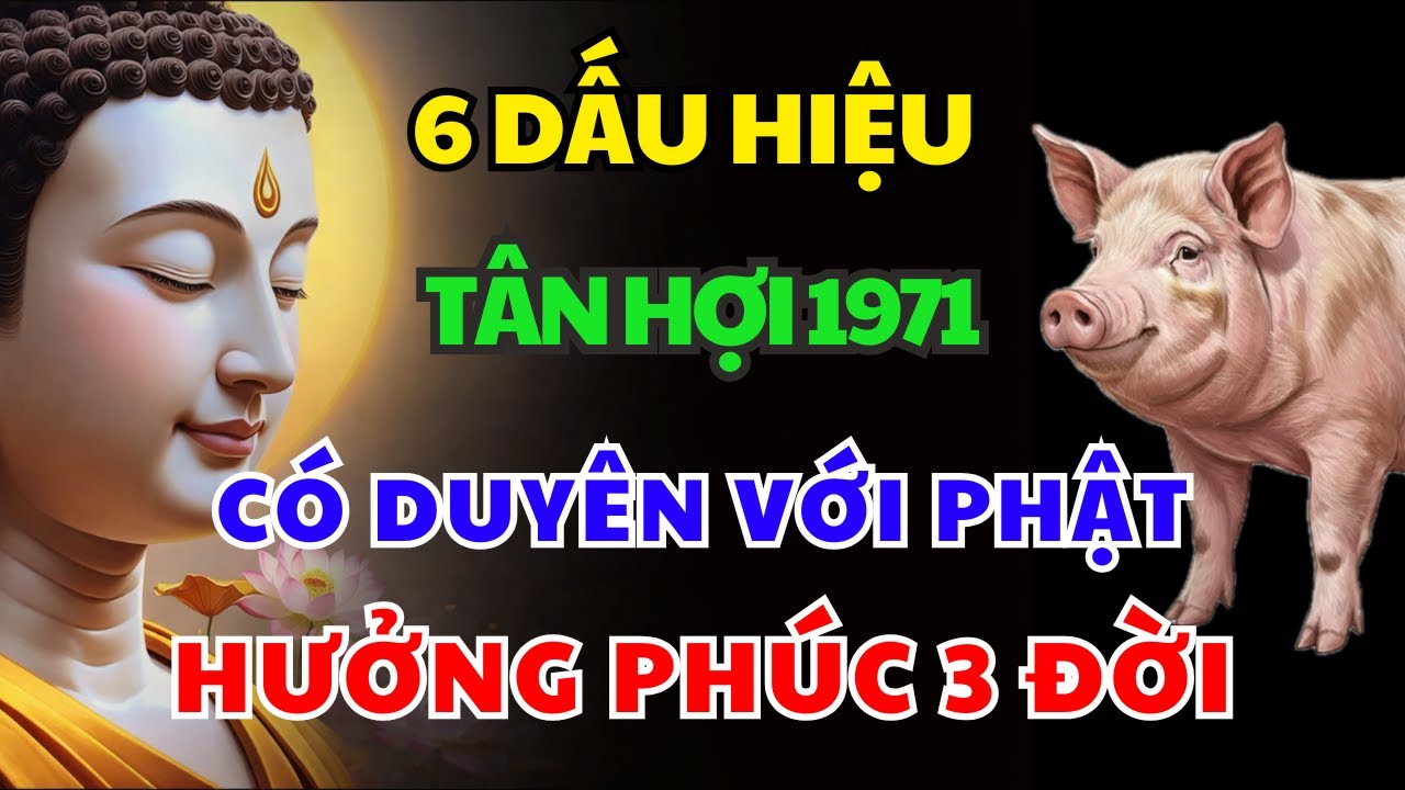 6 Dấu Hiệu Cho Thấy TÂN HỢI 1971 Có Căn Duyên Với Phật, Được Trời Thương Phật Độ Hưởng Lộc Tổ Tiên