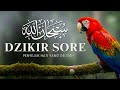 DZIKIR SORE PENYEJUK HATI | SIAPAPUN YANG MENDENGAR AKAN MENANGIS | FIKIRAN MENJADI TENANG