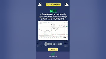 Cổ phiếu REE: "Blue-chip ổn định" có còn hấp dẫn? Lộ diện bí mật tăng trưởng 2025!