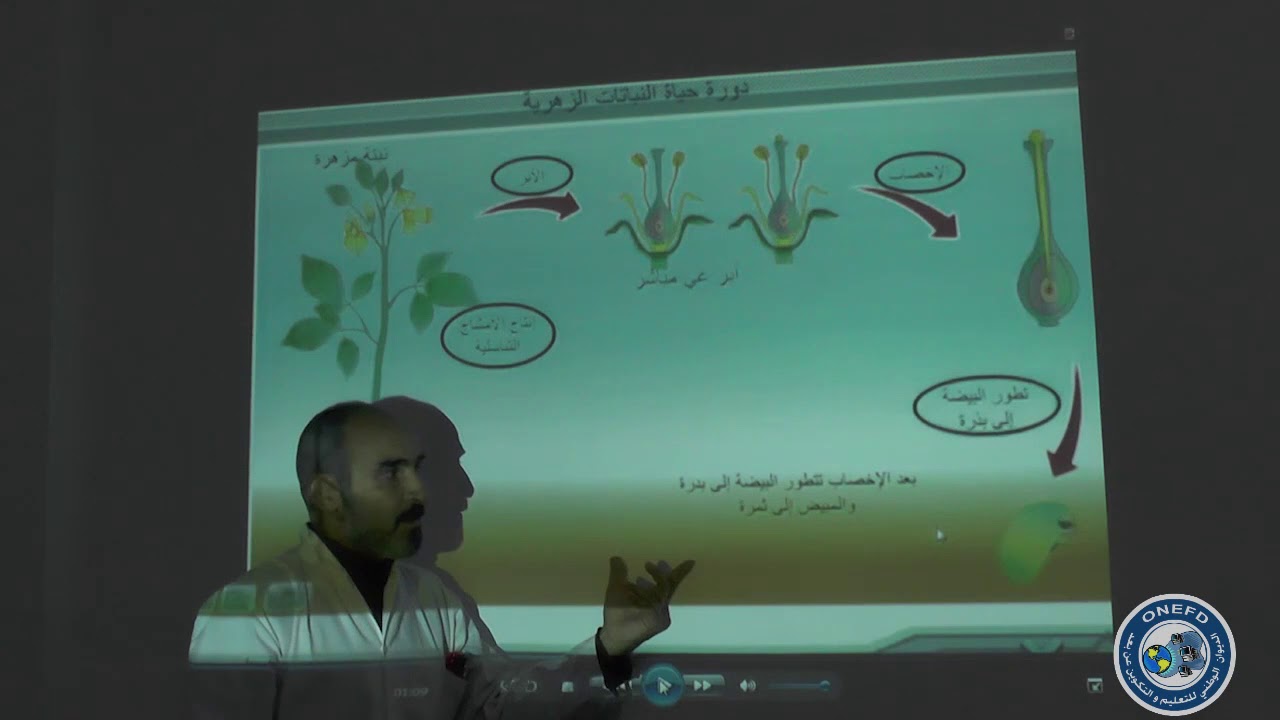 Science 06
