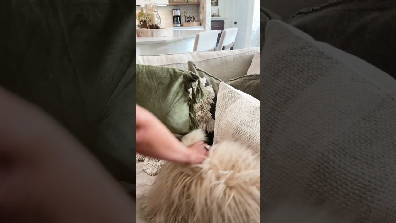 Decorating with Throw Pillows - Free Spirit Bundle 