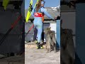 Winter Olympics 2026: Dog runs onto cross-country ski course