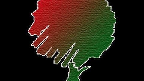 HTML, CSS, JavaScript, Ajax, JQuery, PHP Online Video Bangla Tutorials & Training day 02