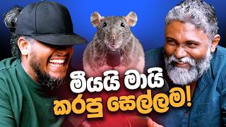Download lagu මීයයි මායි කරපු සෙල්ලම! - Bakannila