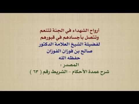 الشيخ صالح الفوزان : أرواح الشهداء في الجنة تتنعم وتتصل بأجسادهم في قبورهم