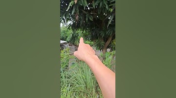 Bán đất tặng nhà cần giuộc long an