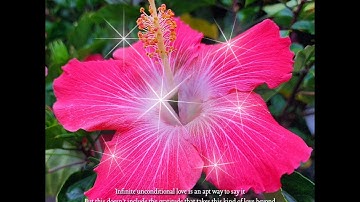 Beyond Expression by Carol Ann Henderson