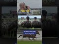 Your FBI Moment: Nathan | Protecting the Kentucky Derby