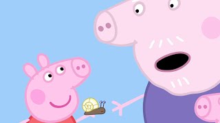 Peppa aprende sobre la jardinería | Kids First | Peppa Pig en Español by Kids First - Español Latino 45,066 views 1 month ago 50 minutes