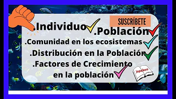 ¿Cómo es la función de la población en un ecosistema?