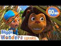 El león | Caricaturas infantiles | Moonbug en Español - Blippi Wonders