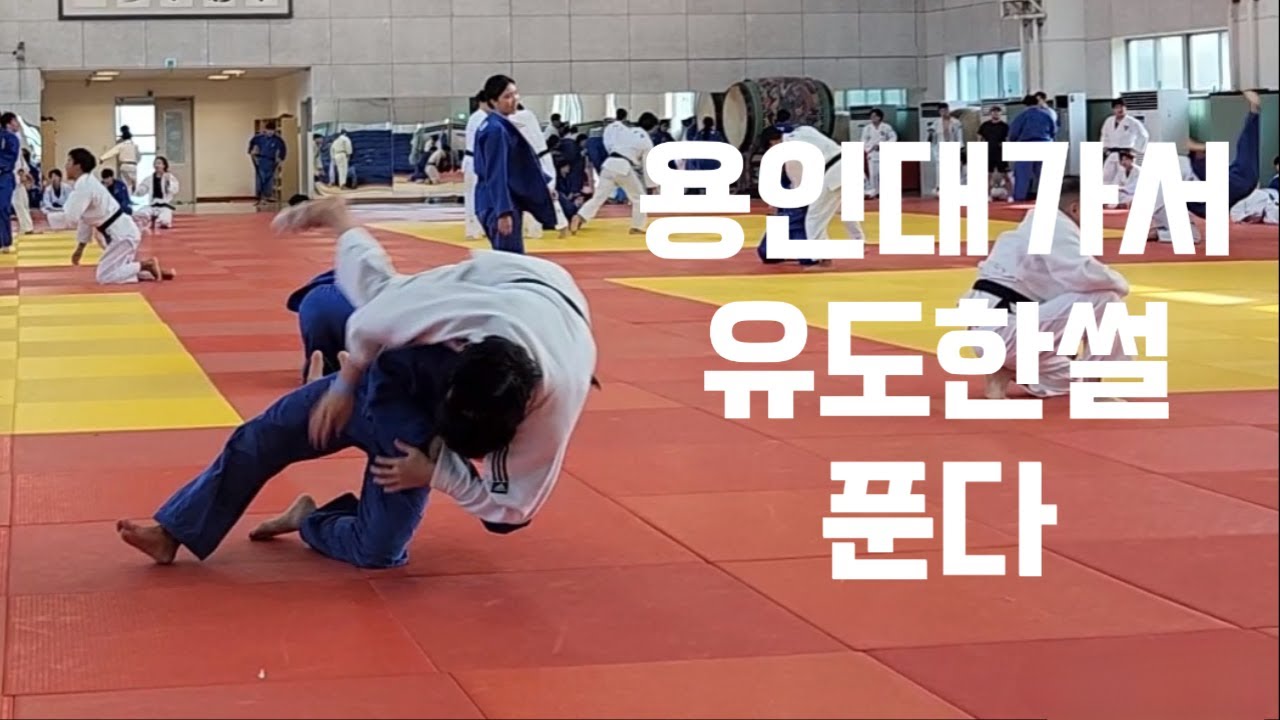 나도 유도의 성지에...? 용인대학교 용유희 방문기!